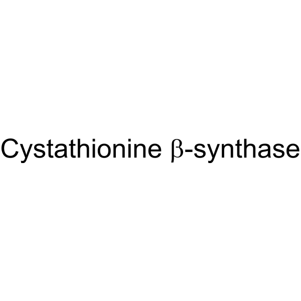 Cystathionine β-synthase 9023-99-8